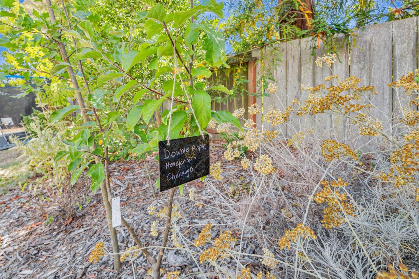 Detail Gallery Image 35 of 59 For 30 White Plains Ct, San Mateo,  CA 94402 - 4 Beds | 2 Baths