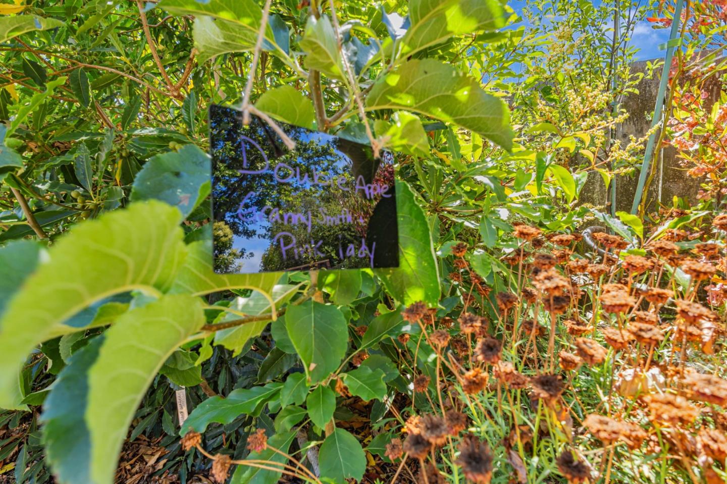 Detail Gallery Image 36 of 59 For 30 White Plains Ct, San Mateo,  CA 94402 - 4 Beds | 2 Baths