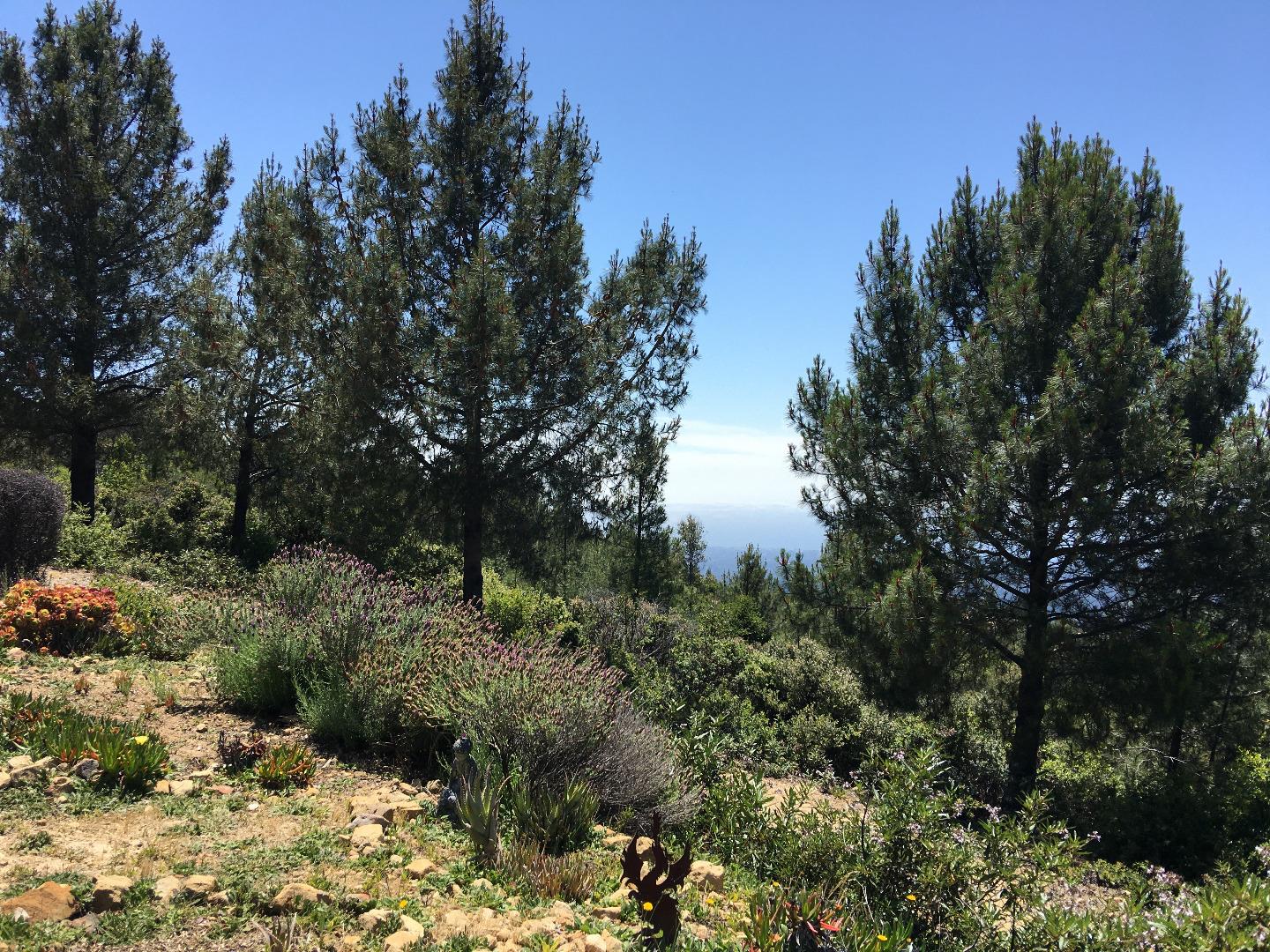 580 Russell Ridge, Watsonville, CA, 95076