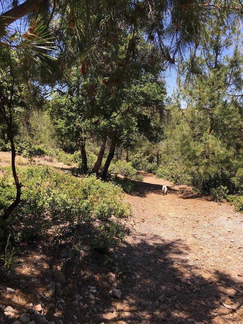 580 Russell Ridge, Watsonville, CA, 95076