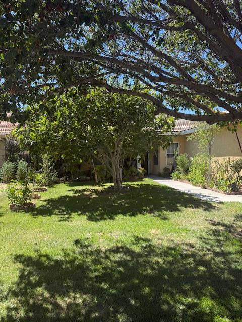 Detail Gallery Image 3 of 27 For 355 Chestnut St, Los Banos,  CA 93635 - 4 Beds | 2 Baths