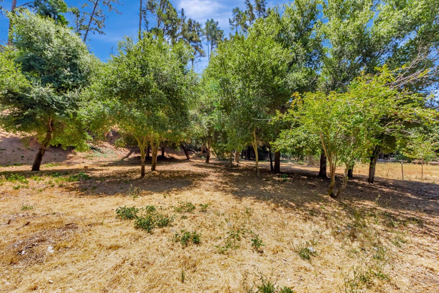 Detail Gallery Image 48 of 48 For 17 Muth Dr, Orinda,  CA 94563 - 4 Beds | 3 Baths