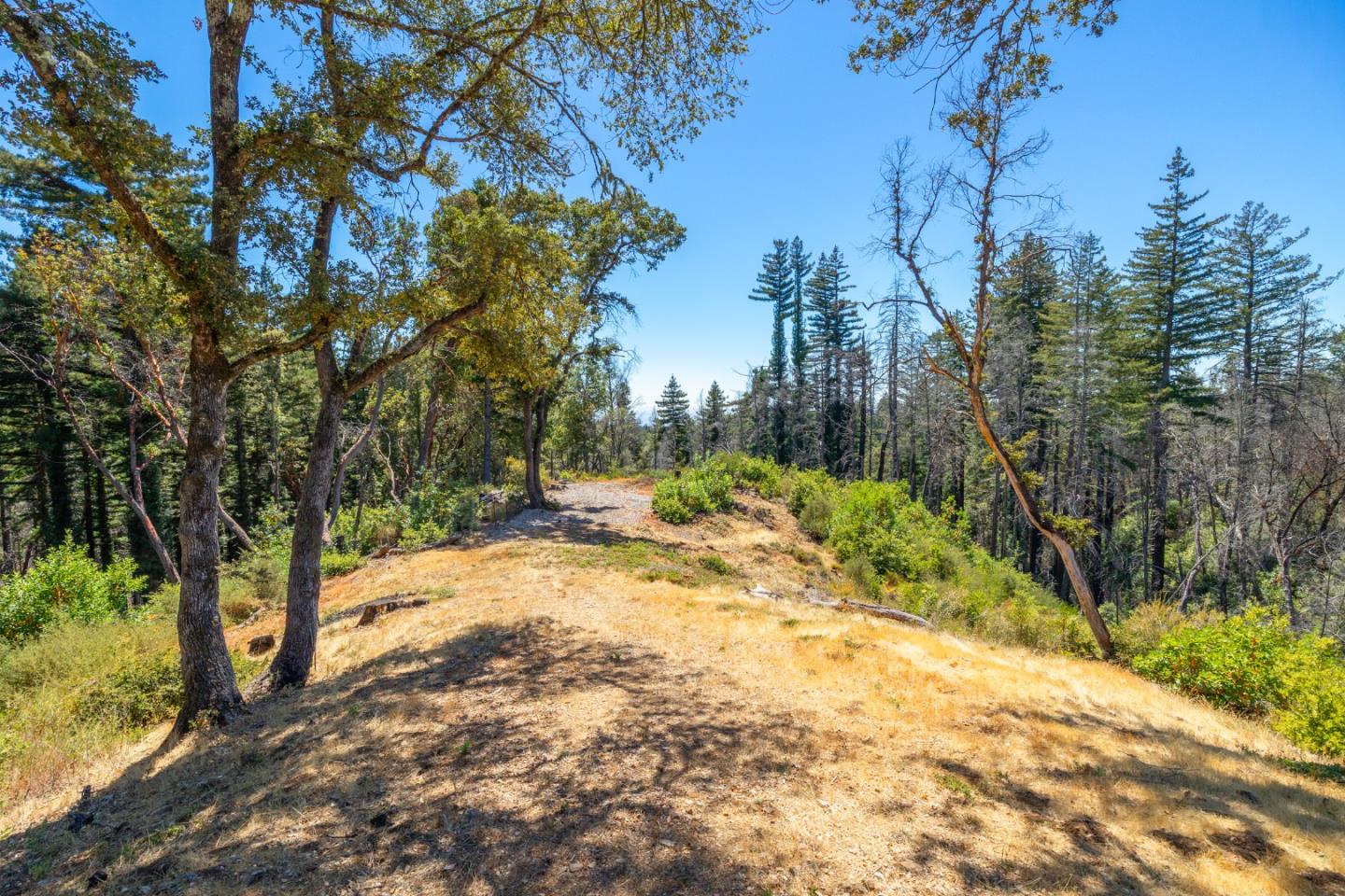 Detail Gallery Image 82 of 88 For 340 Twilight Ln, Santa Cruz,  CA 95060 - 3 Beds | 2/1 Baths