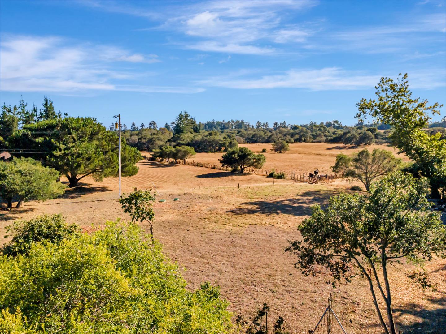 Detail Gallery Image 13 of 29 For 222 Highview Dr, Santa Cruz,  CA 95060 - 2 Beds | 1 Baths