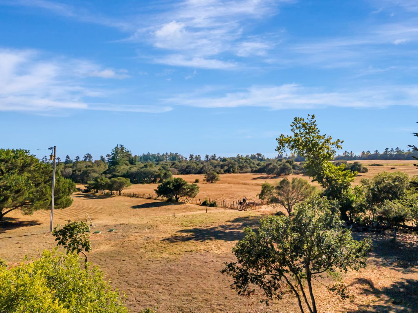 Detail Gallery Image 14 of 29 For 222 Highview Dr, Santa Cruz,  CA 95060 - 2 Beds | 1 Baths