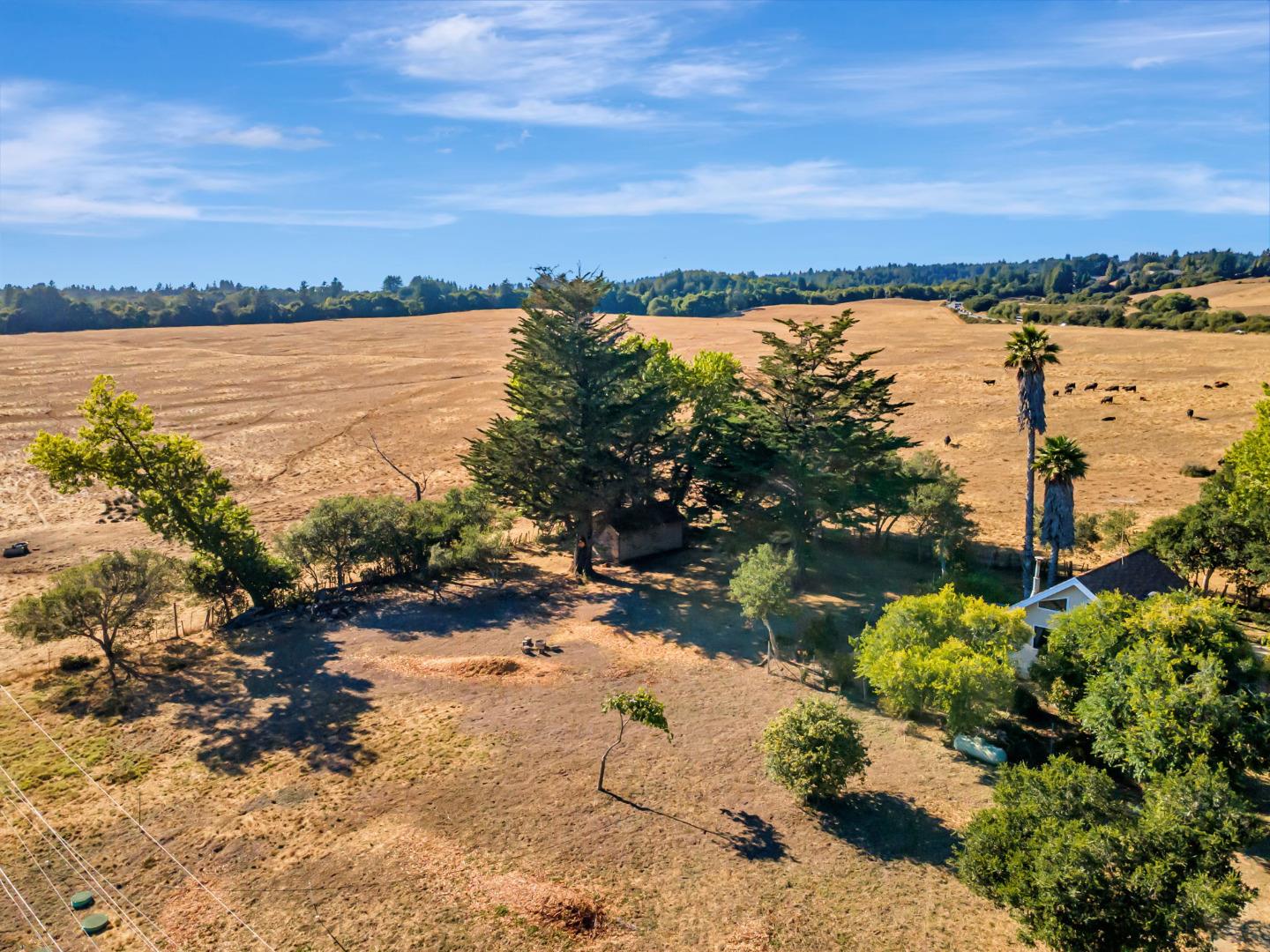 Detail Gallery Image 15 of 29 For 222 Highview Dr, Santa Cruz,  CA 95060 - 2 Beds | 1 Baths