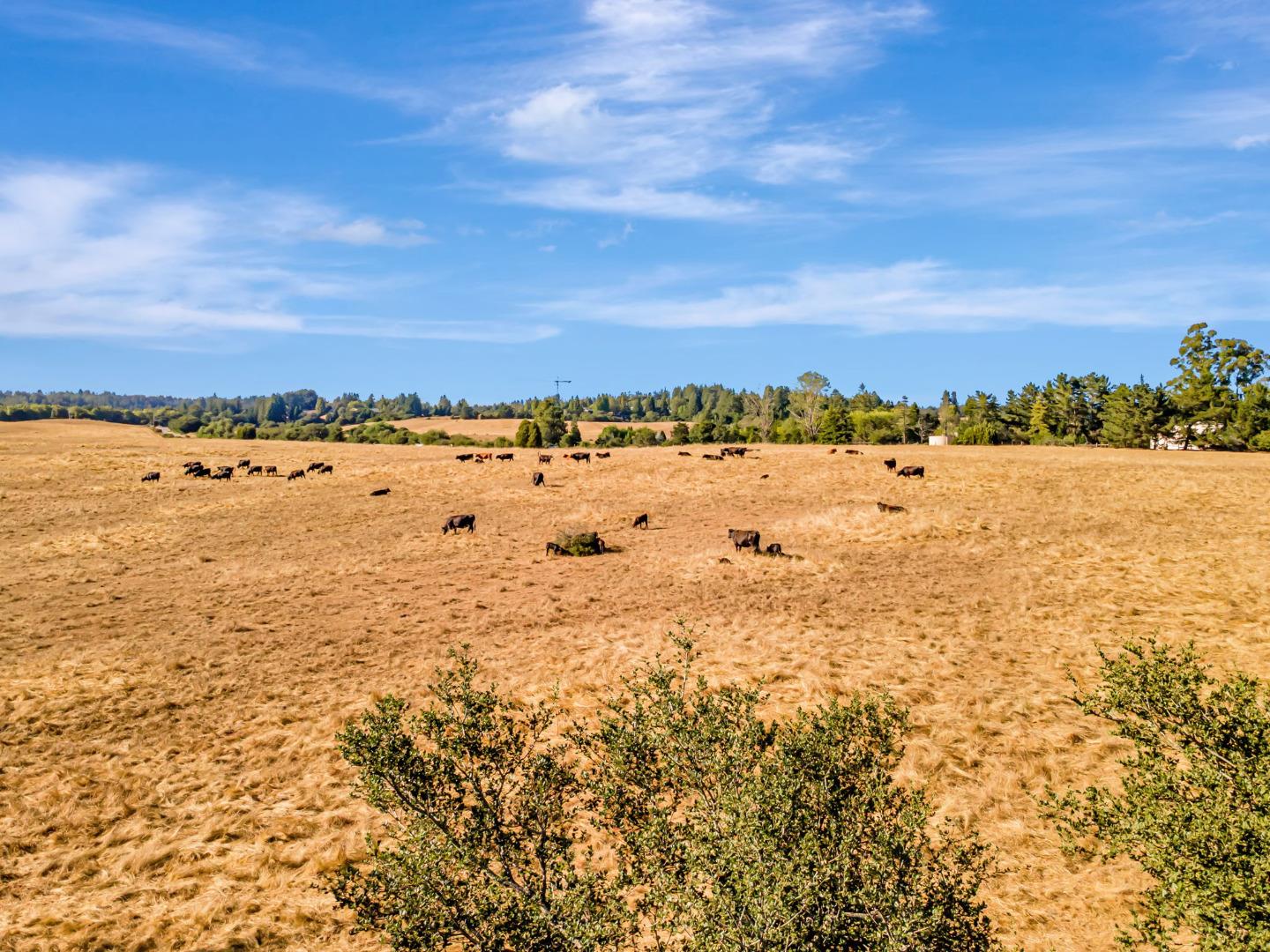 Detail Gallery Image 19 of 29 For 222 Highview Dr, Santa Cruz,  CA 95060 - 2 Beds | 1 Baths