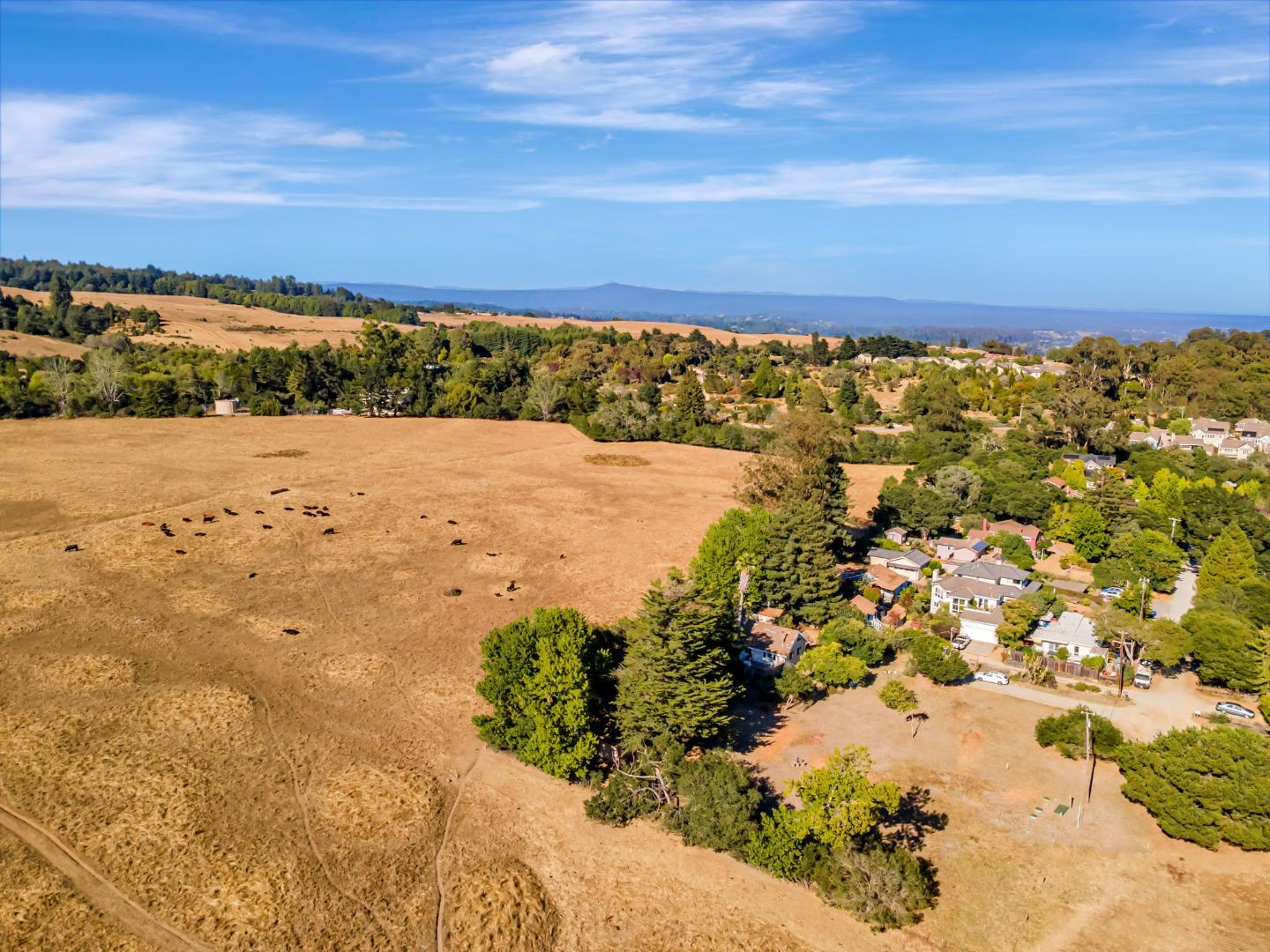 Detail Gallery Image 9 of 29 For 222 Highview Dr, Santa Cruz,  CA 95060 - 2 Beds | 1 Baths