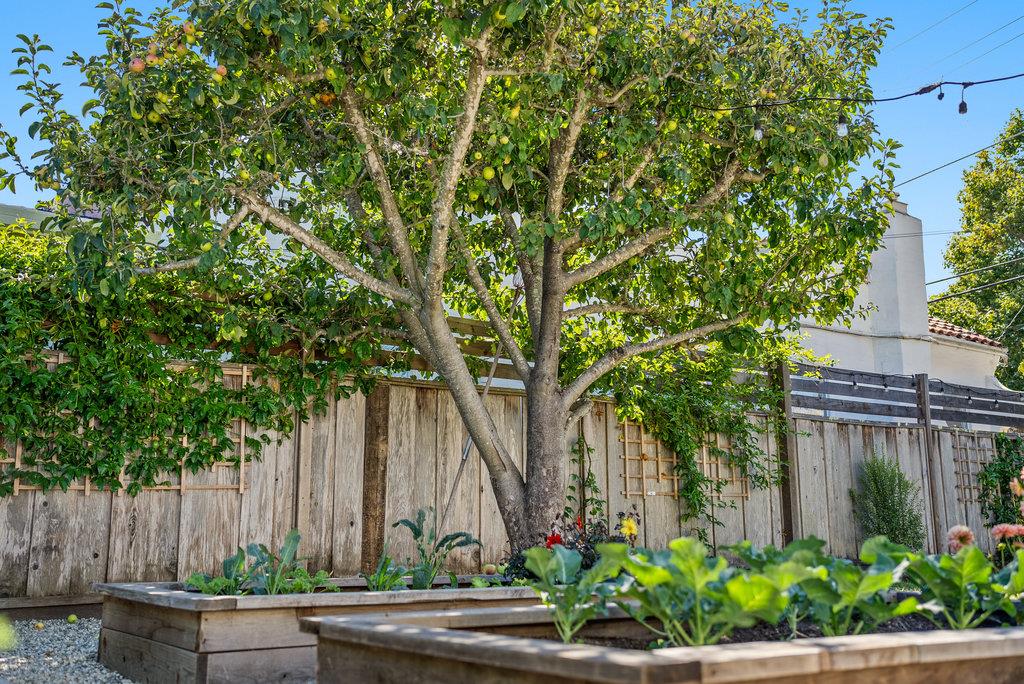 Detail Gallery Image 51 of 73 For 331 Van Ness Ave, Santa Cruz,  CA 95060 - 3 Beds | 1 Baths