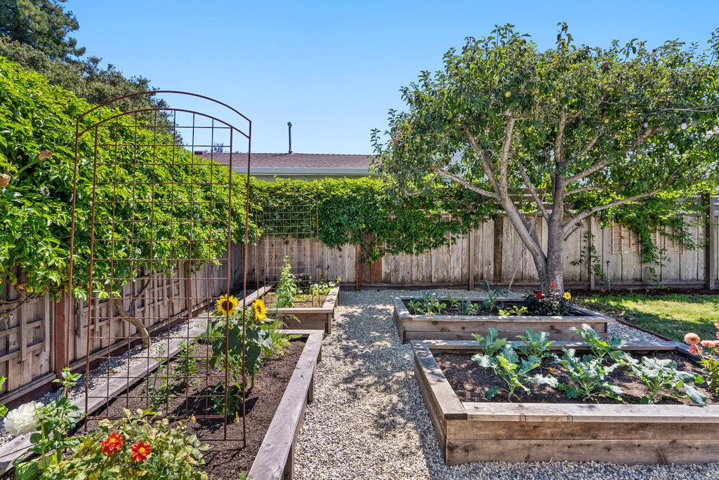 Detail Gallery Image 55 of 73 For 331 Van Ness Ave, Santa Cruz,  CA 95060 - 3 Beds | 1 Baths
