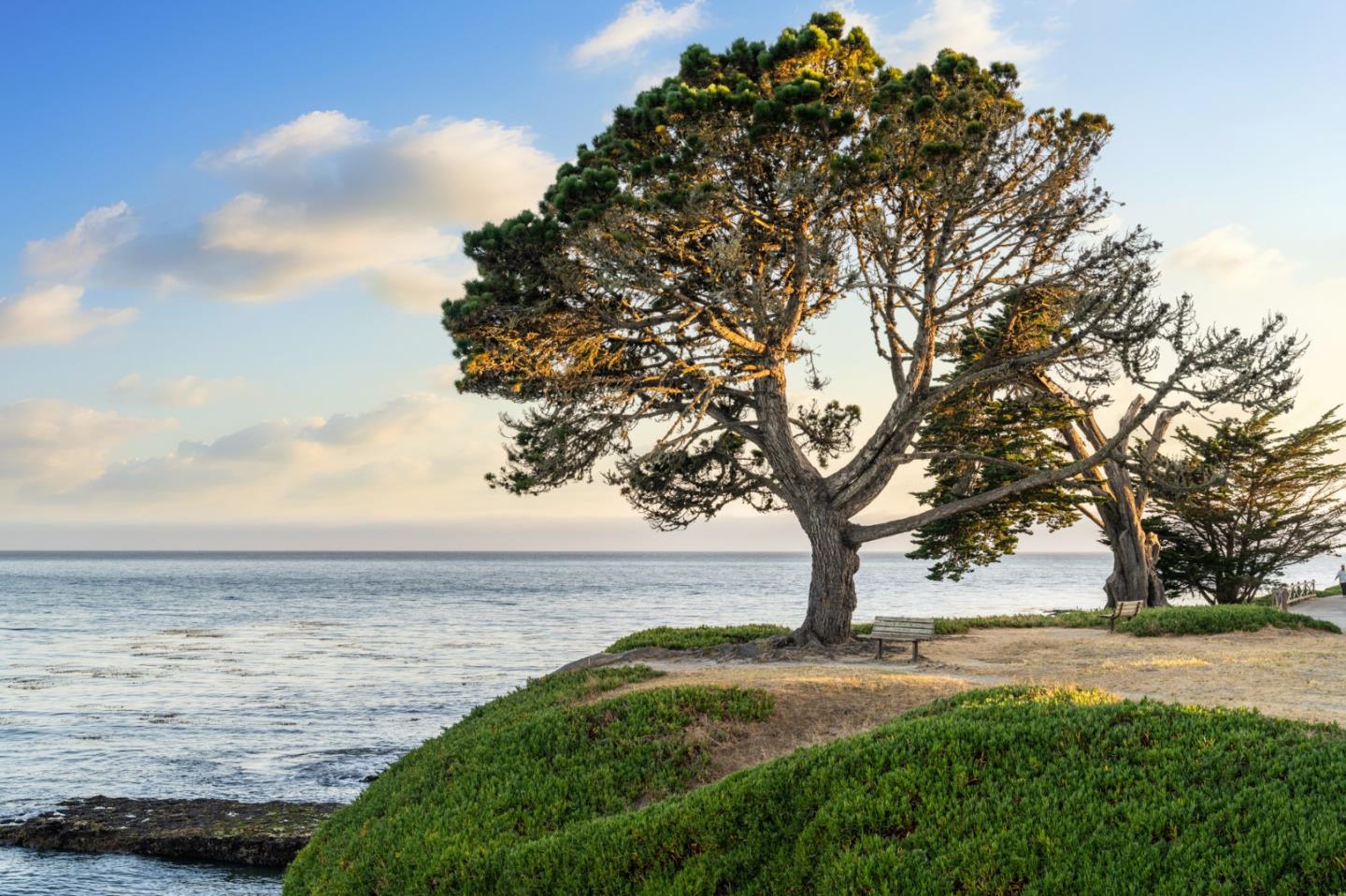 Detail Gallery Image 51 of 53 For 421 Oxford Way, Santa Cruz,  CA 95060 - 4 Beds | 2 Baths