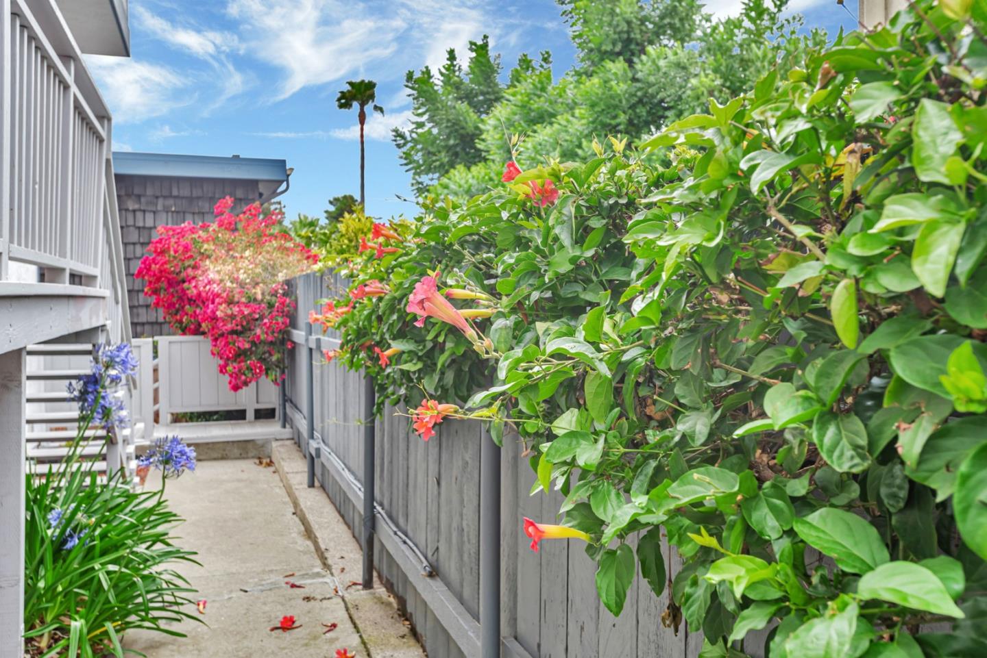 Detail Gallery Image 4 of 38 For 193 Linden Ave #1,  San Bruno,  CA 94066 - 2 Beds | 1/1 Baths