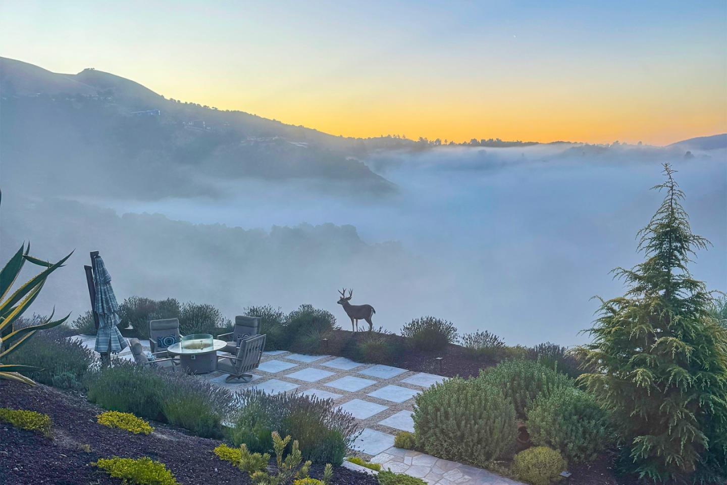 Detail Gallery Image 45 of 45 For 13369 Middle Canyon Rd, Carmel Valley,  CA 93924 - 3 Beds | 2/1 Baths