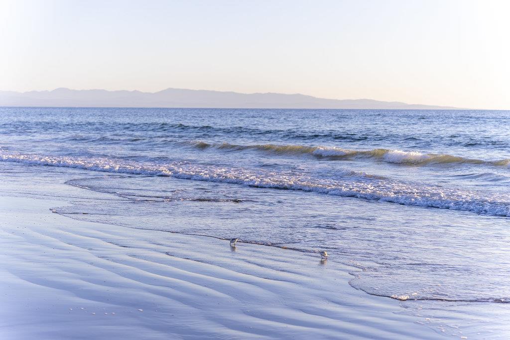 Detail Gallery Image 63 of 66 For 126 via Novella, Aptos,  CA 95003 - 4 Beds | 2/1 Baths