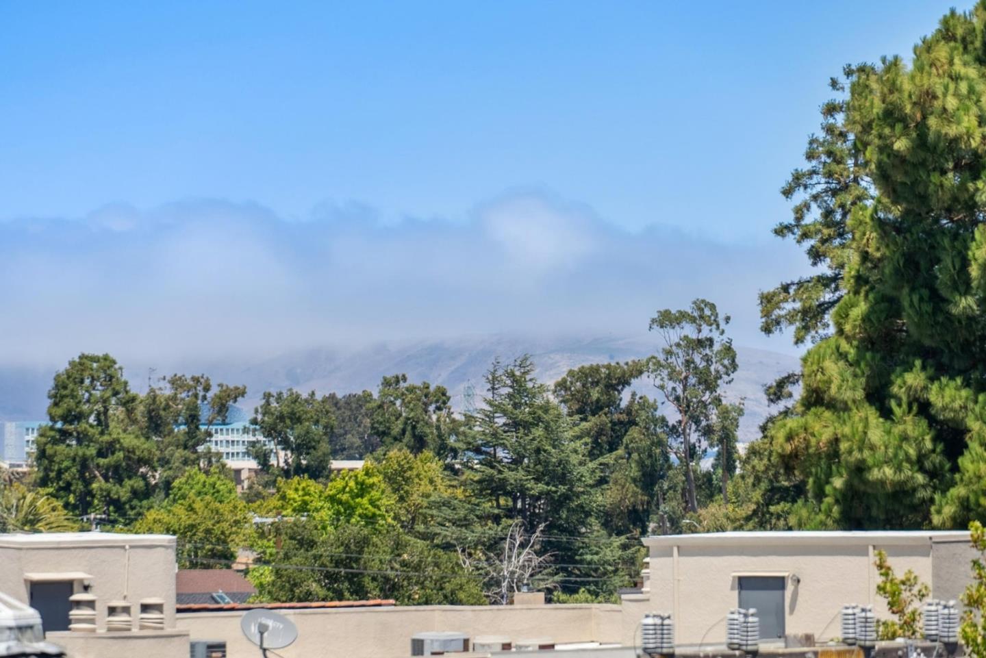 Detail Gallery Image 37 of 55 For 1433 Floribunda Ave #2,  Burlingame,  CA 94010 - 2 Beds | 2/1 Baths