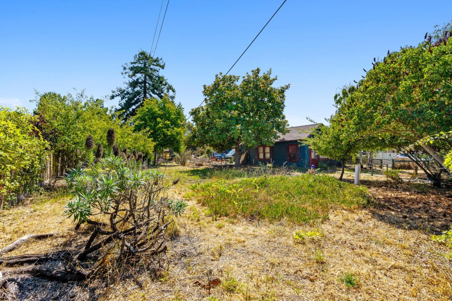 Detail Gallery Image 10 of 48 For 1430 Merrill St, Santa Cruz,  CA 95062 - – Beds | – Baths