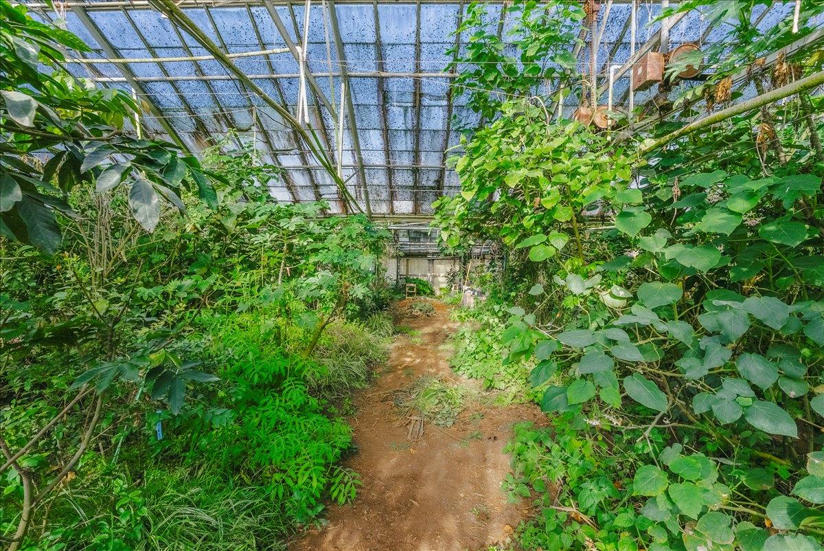 Detail Gallery Image 33 of 68 For 371 Calabasas Rd, Watsonville,  CA 95076 - 5 Beds | 2/1 Baths