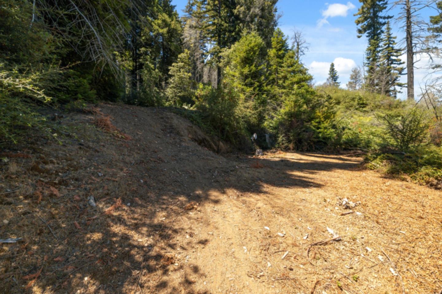 Detail Gallery Image 13 of 38 For 2472 Fanning Grade, Ben Lomond,  CA 95005 - – Beds | – Baths