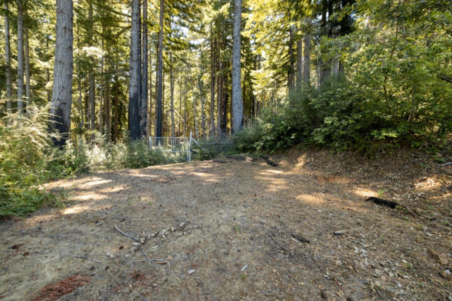Detail Gallery Image 16 of 38 For 2472 Fanning Grade, Ben Lomond,  CA 95005 - – Beds | – Baths
