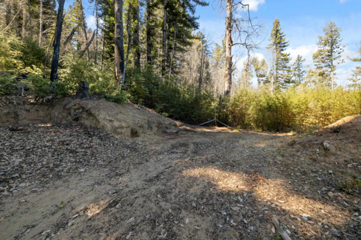 Detail Gallery Image 17 of 38 For 2472 Fanning Grade, Ben Lomond,  CA 95005 - – Beds | – Baths