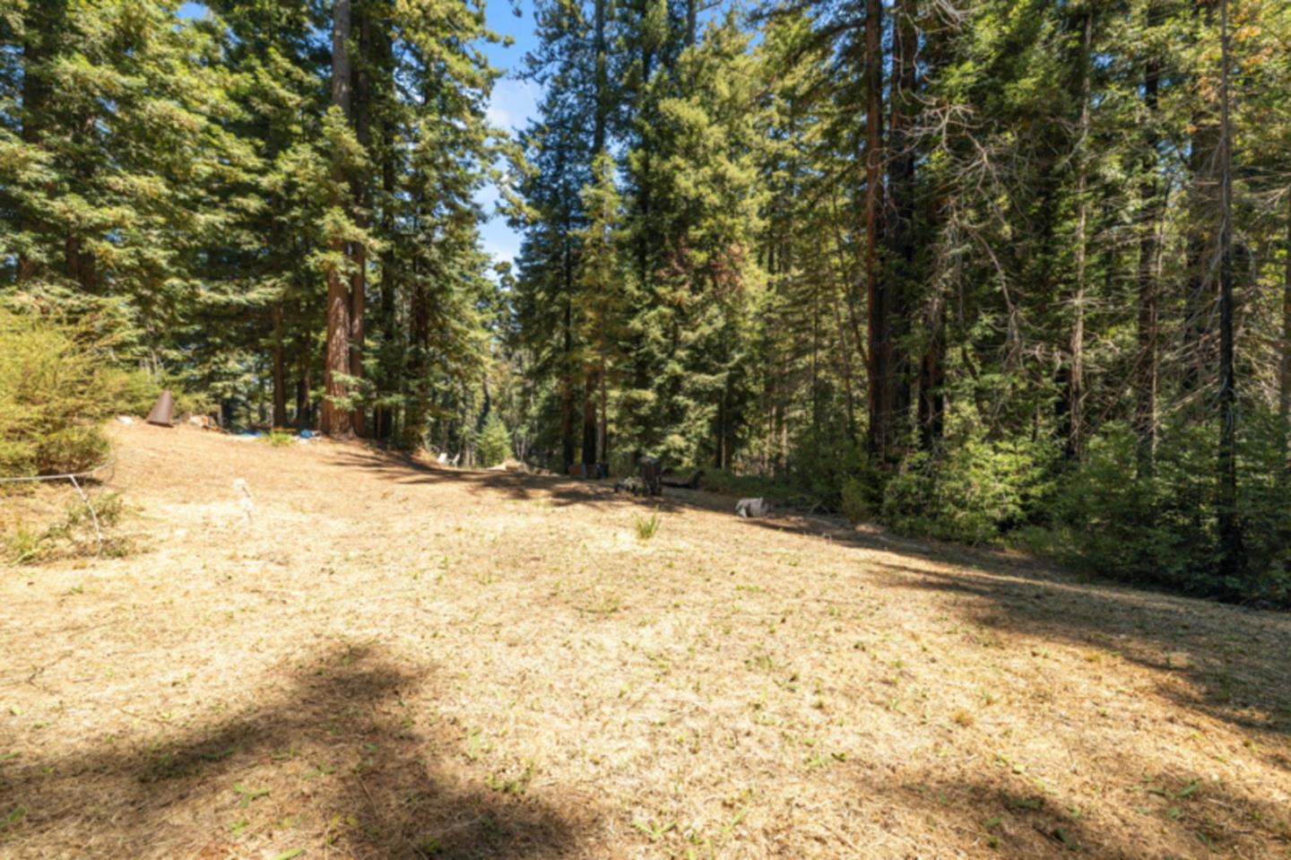 Detail Gallery Image 26 of 38 For 2472 Fanning Grade, Ben Lomond,  CA 95005 - – Beds | – Baths