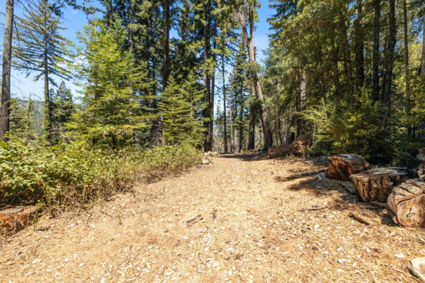 Detail Gallery Image 30 of 38 For 2472 Fanning Grade, Ben Lomond,  CA 95005 - – Beds | – Baths