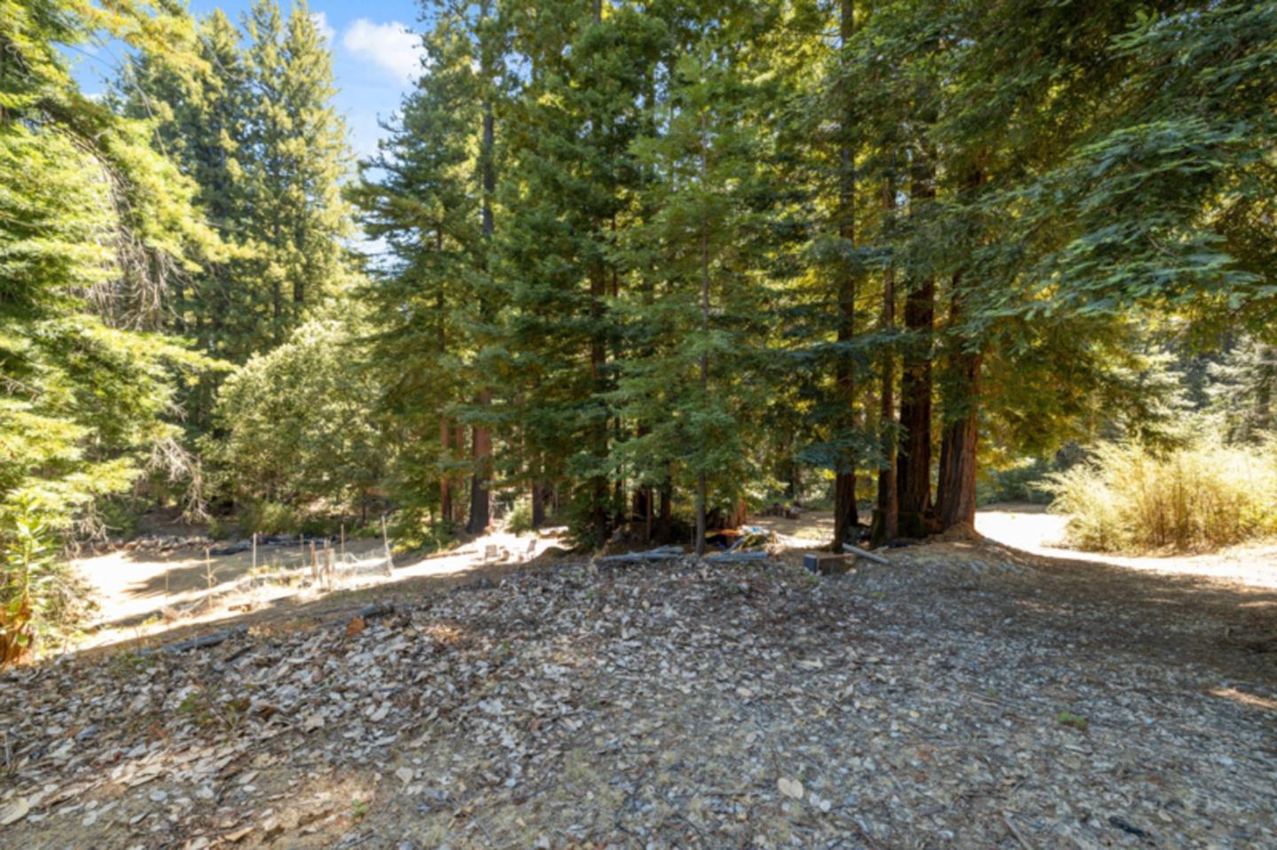 Detail Gallery Image 5 of 38 For 2472 Fanning Grade, Ben Lomond,  CA 95005 - – Beds | – Baths