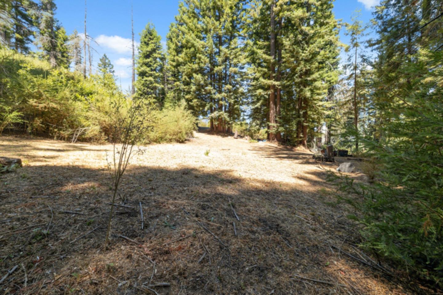 Detail Gallery Image 8 of 38 For 2472 Fanning Grade, Ben Lomond,  CA 95005 - – Beds | – Baths
