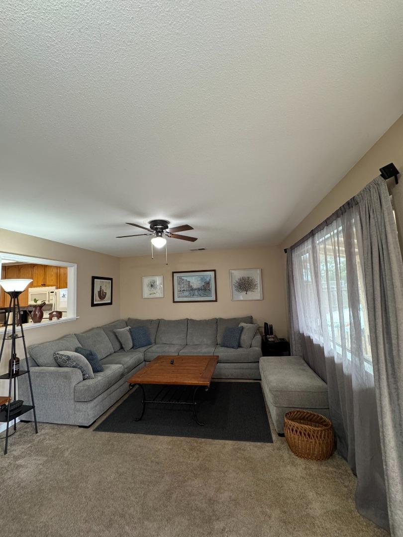 Detail Gallery Image 49 of 93 For 2718 Ferguson Rd, Gilroy,  CA 95020 - – Beds | – Baths