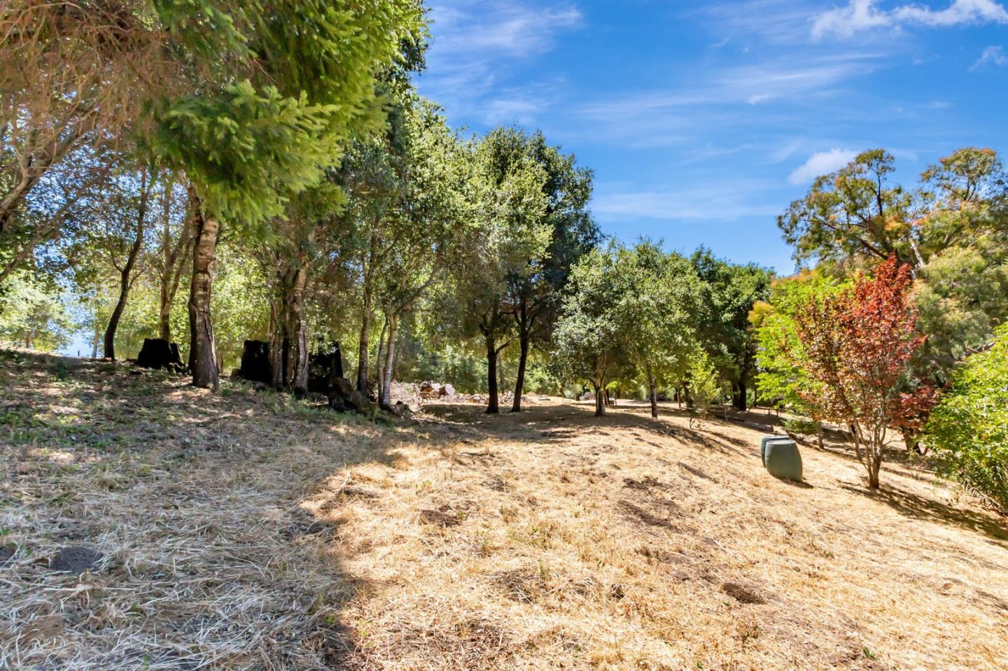 Detail Gallery Image 60 of 96 For 17900 China Grade Rd, Boulder Creek,  CA 95006 - 4 Beds | 3 Baths
