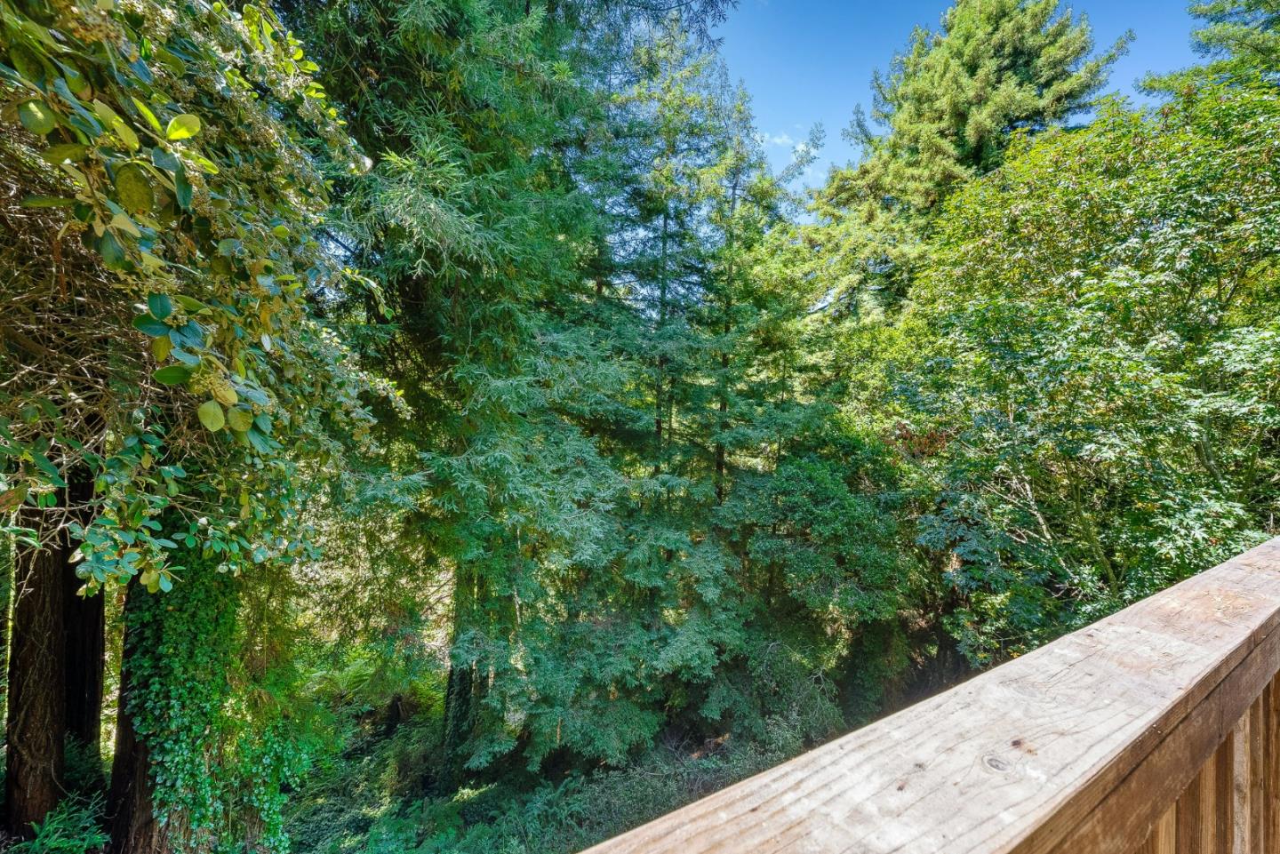 Detail Gallery Image 22 of 50 For 146 Aptos School Rd, Aptos,  CA 95003 - 2 Beds | 1/1 Baths