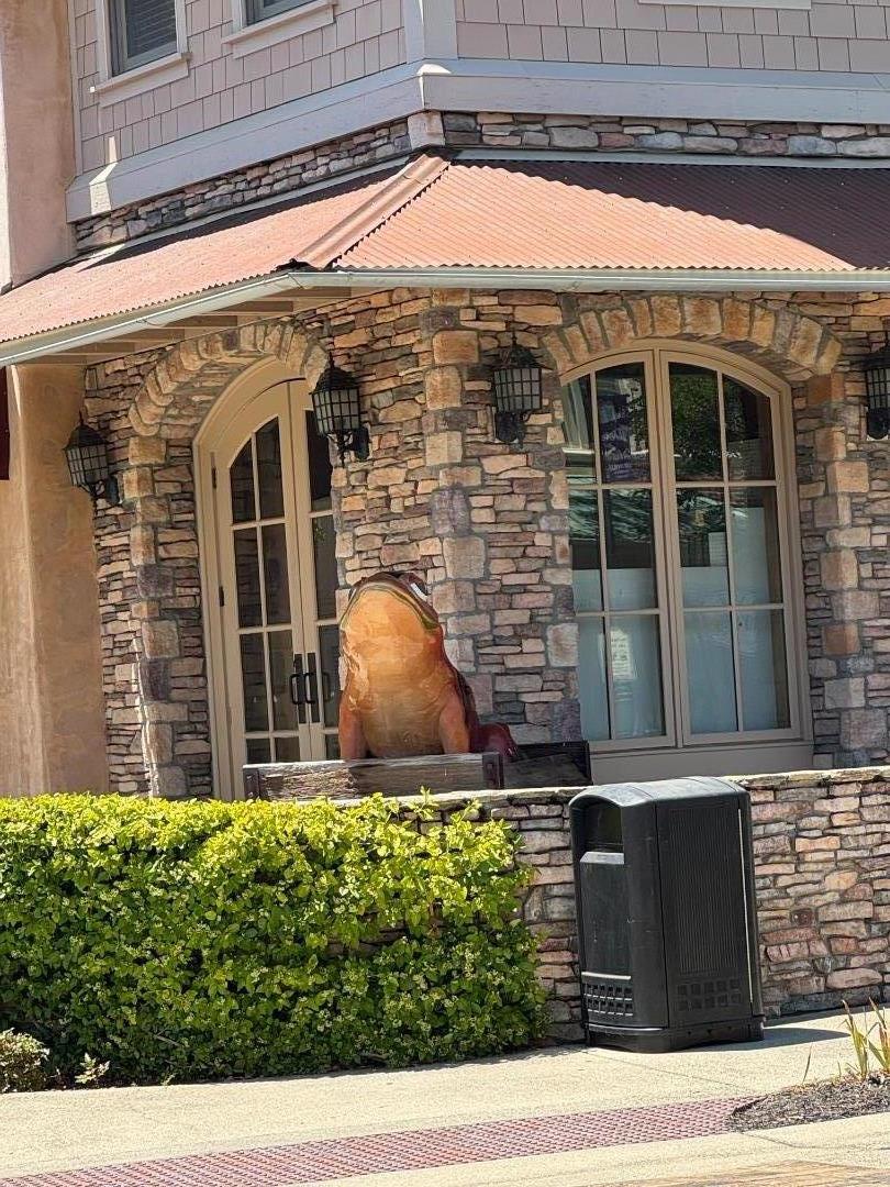 Detail Gallery Image 29 of 39 For 2253 Buffalo Way, Copperopolis,  CA 95228 - 3 Beds | 2/1 Baths