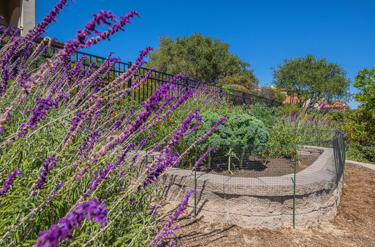 Detail Gallery Image 63 of 64 For 407 Mirador Ct, Monterey,  CA 93940 - 3 Beds | 3/1 Baths