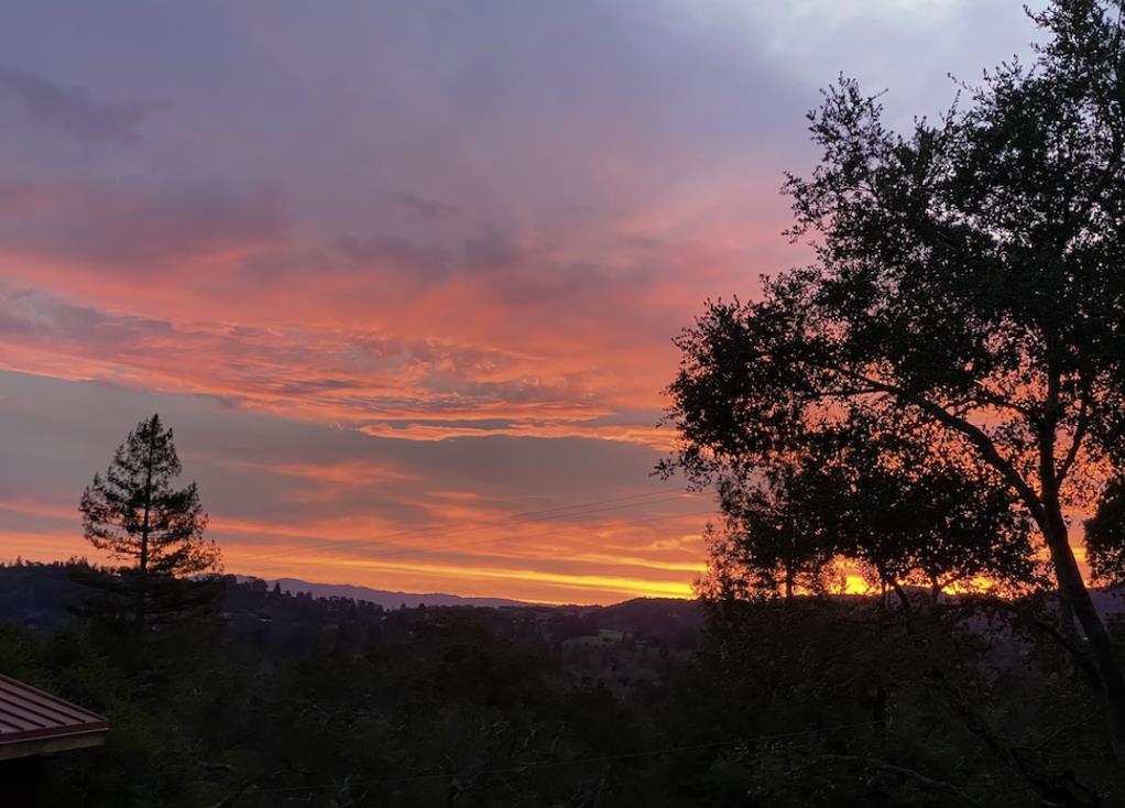 Detail Gallery Image 16 of 19 For 108 Santa Maria Ave, Portola Valley,  CA 94028 - 3 Beds | 2 Baths