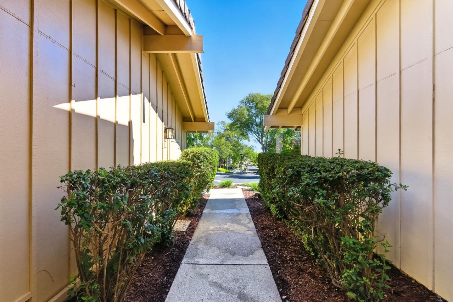 Detail Gallery Image 61 of 85 For 10 Azalea Ln, San Carlos,  CA 94070 - 2 Beds | 2/1 Baths