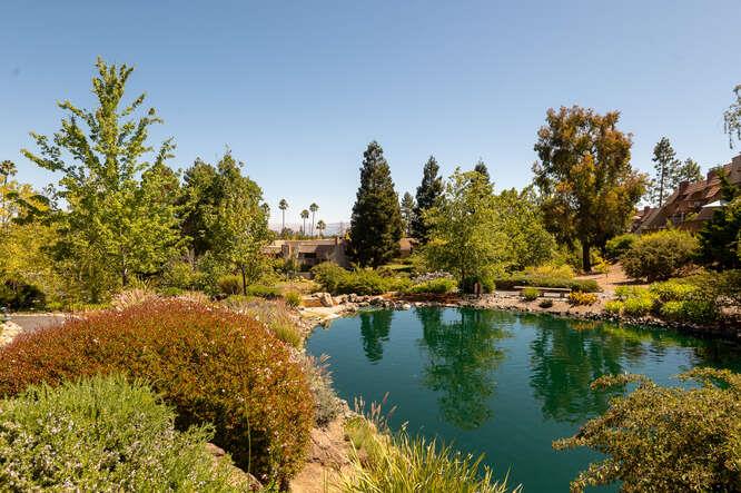 Detail Gallery Image 32 of 39 For 131 El Pinar, Los Gatos,  CA 95032 - 3 Beds | 2/1 Baths