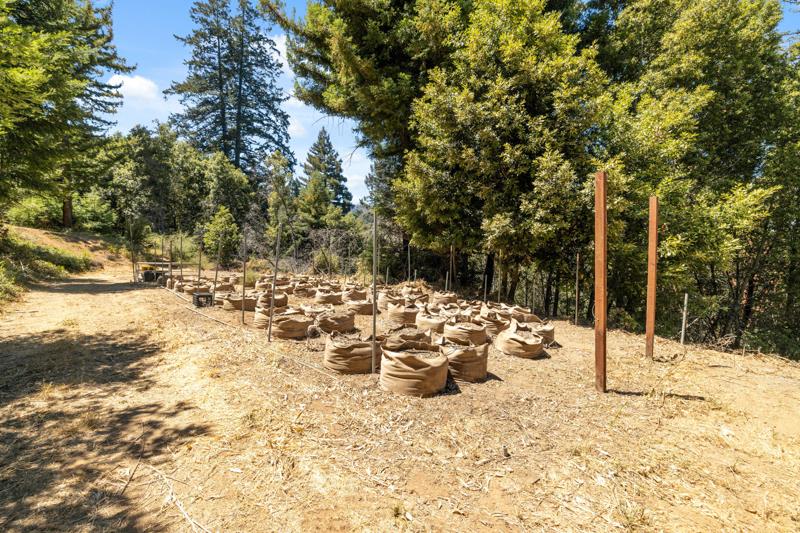 Detail Gallery Image 11 of 42 For 280 Sweetwater Ln, Ben Lomond,  CA 95005 - – Beds | – Baths