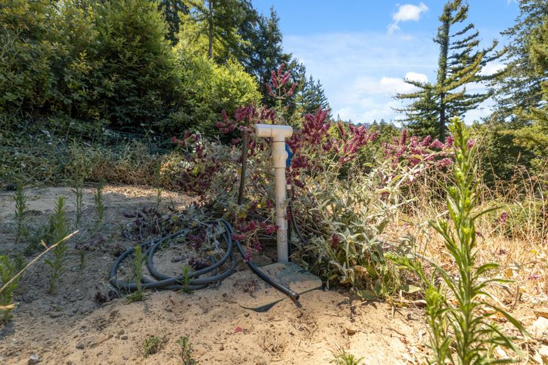 Detail Gallery Image 12 of 42 For 280 Sweetwater Ln, Ben Lomond,  CA 95005 - – Beds | – Baths