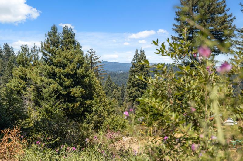 Detail Gallery Image 19 of 42 For 280 Sweetwater Ln, Ben Lomond,  CA 95005 - – Beds | – Baths