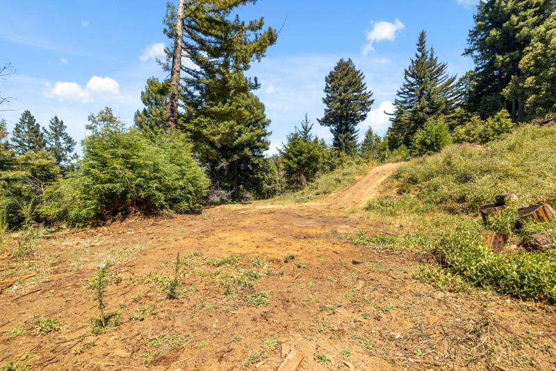 Detail Gallery Image 7 of 42 For 280 Sweetwater Ln, Ben Lomond,  CA 95005 - – Beds | – Baths