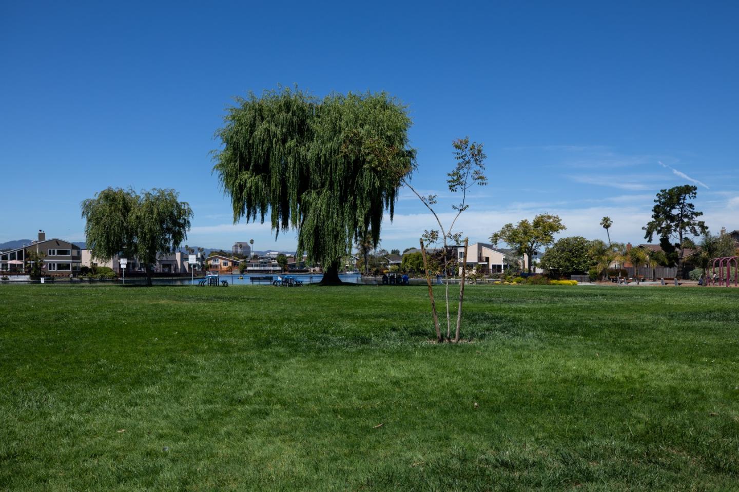 Detail Gallery Image 12 of 17 For 212 Albacore Ln, Foster City,  CA 94404 - 2 Beds | 2 Baths