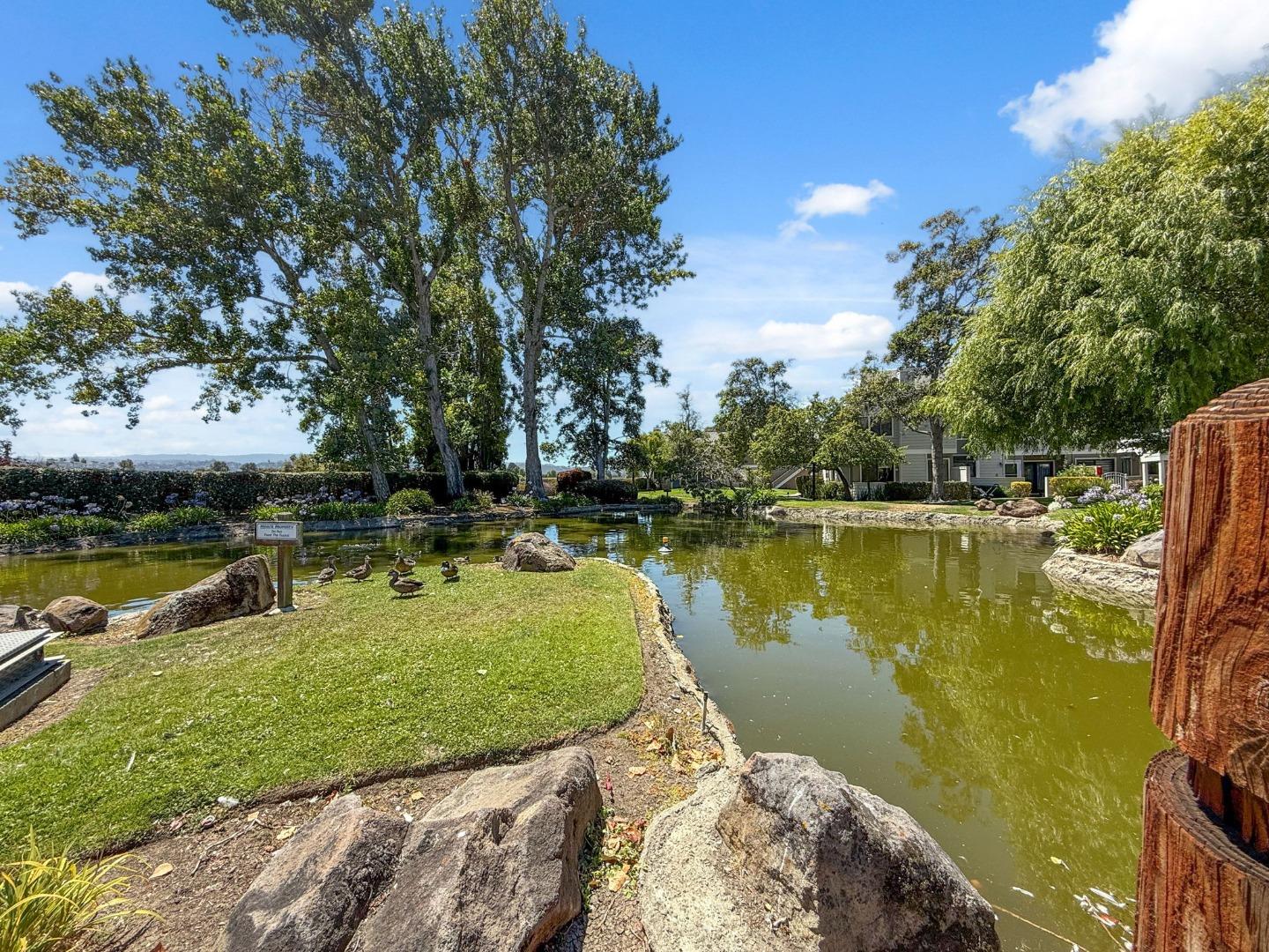 Detail Gallery Image 31 of 36 For 2285 Vista Del Mar, San Mateo,  CA 94404 - 2 Beds | 2/1 Baths