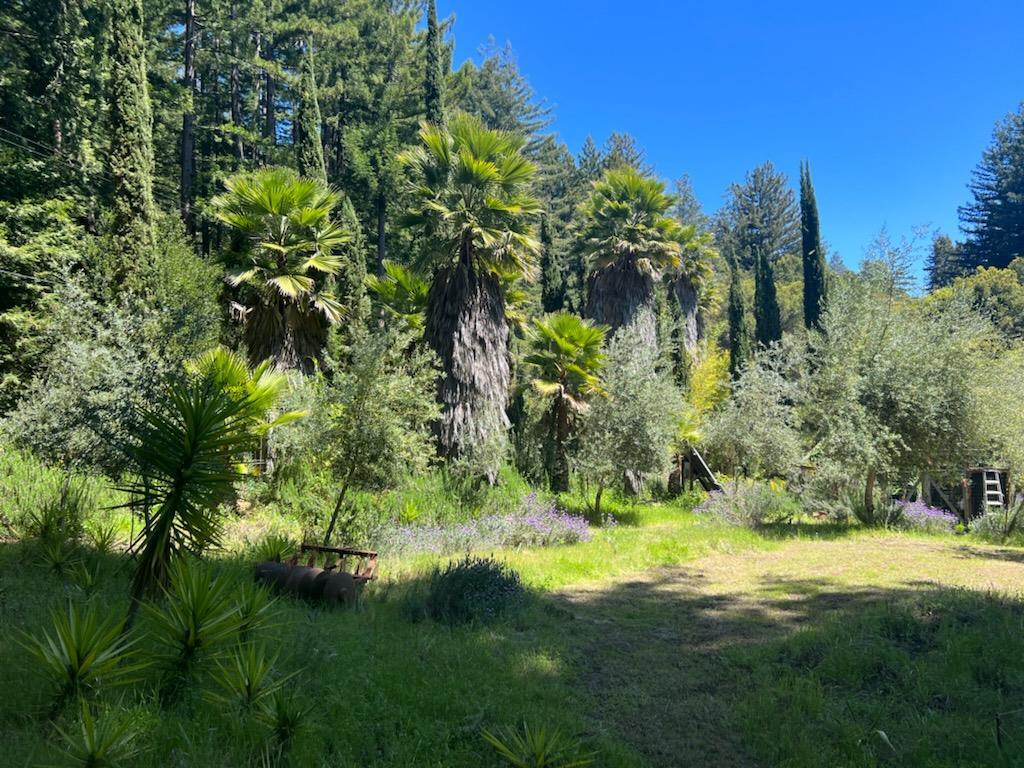 Detail Gallery Image 14 of 34 For 1385 Amaya Ridge Rd, Soquel,  CA 95073 - – Beds | – Baths