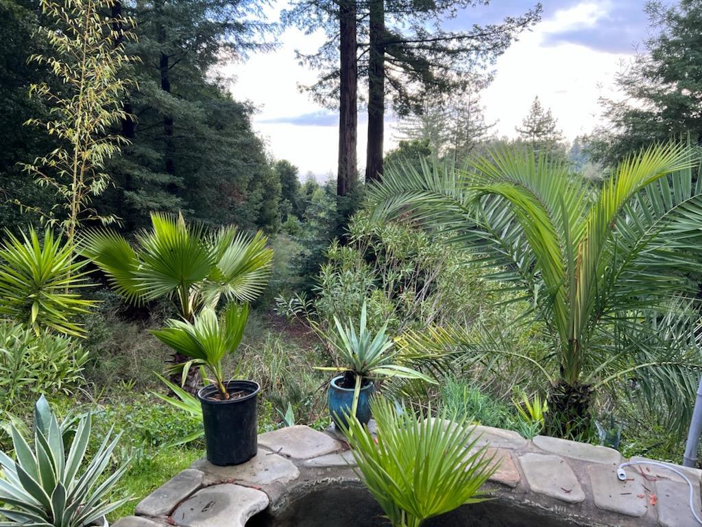 Detail Gallery Image 2 of 34 For 1385 Amaya Ridge Rd, Soquel,  CA 95073 - – Beds | – Baths