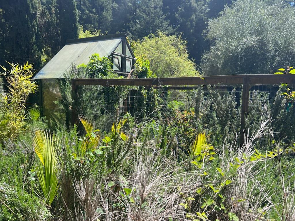 Detail Gallery Image 20 of 34 For 1385 Amaya Ridge Rd, Soquel,  CA 95073 - – Beds | – Baths