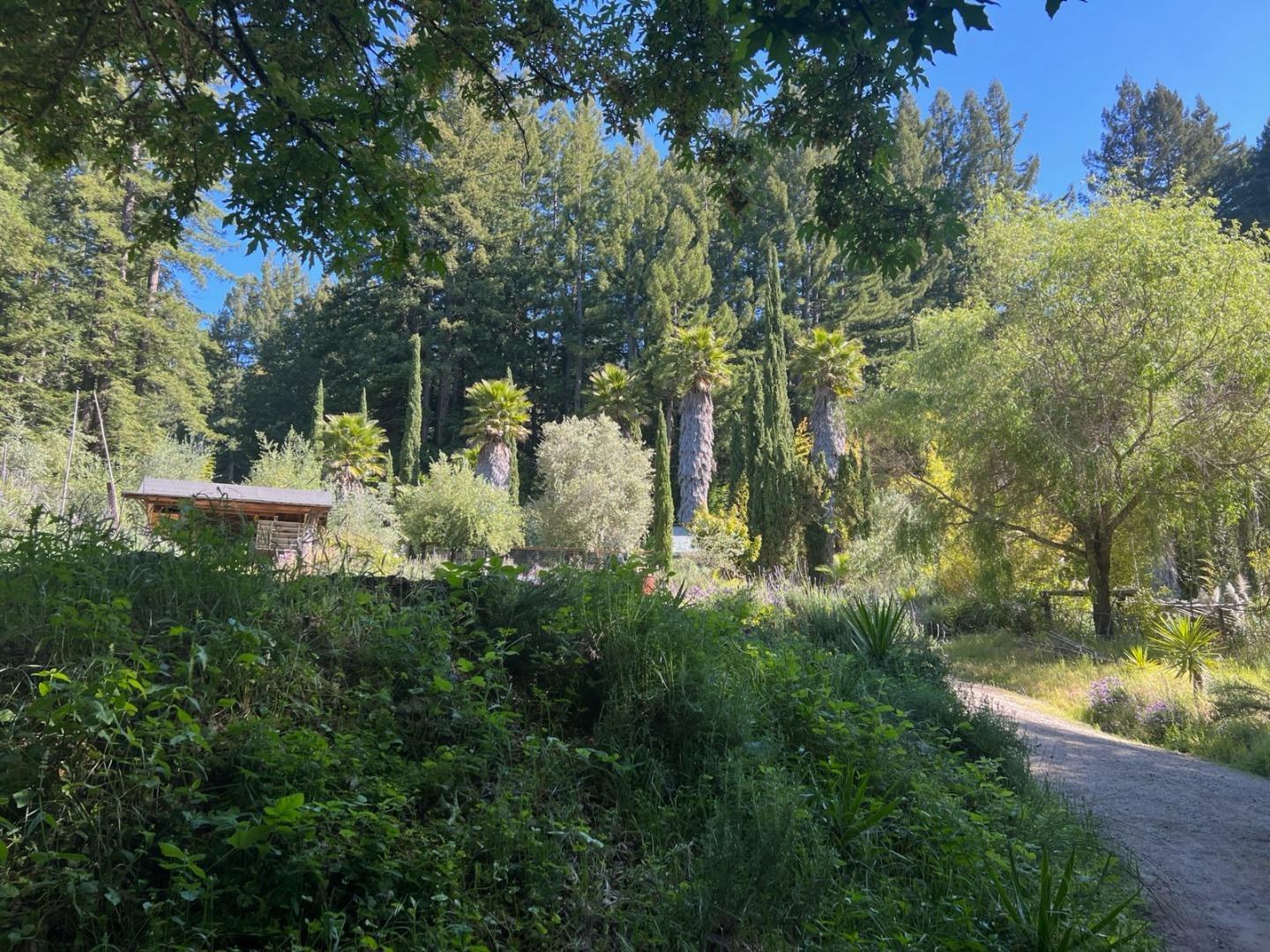 Detail Gallery Image 23 of 34 For 1385 Amaya Ridge Rd, Soquel,  CA 95073 - – Beds | – Baths