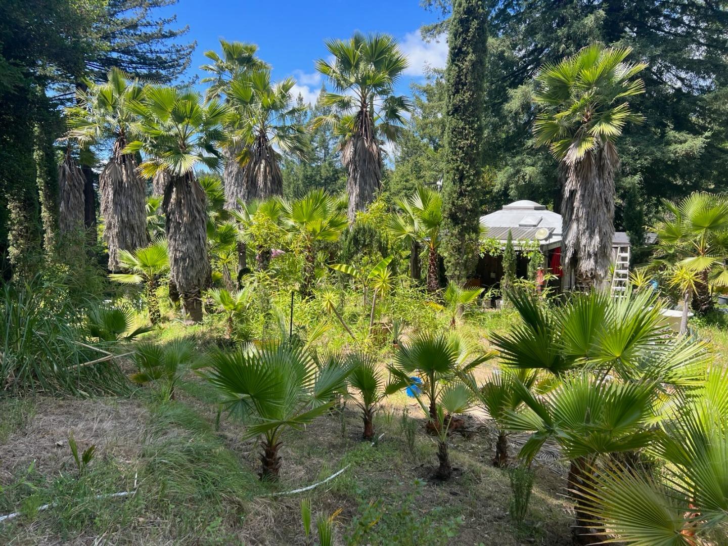 Detail Gallery Image 28 of 34 For 1385 Amaya Ridge Rd, Soquel,  CA 95073 - – Beds | – Baths
