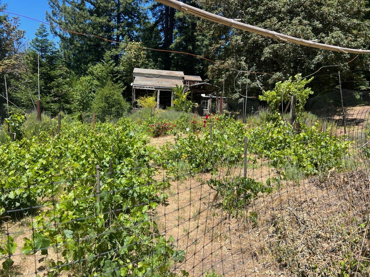 Detail Gallery Image 32 of 34 For 1385 Amaya Ridge Rd, Soquel,  CA 95073 - – Beds | – Baths