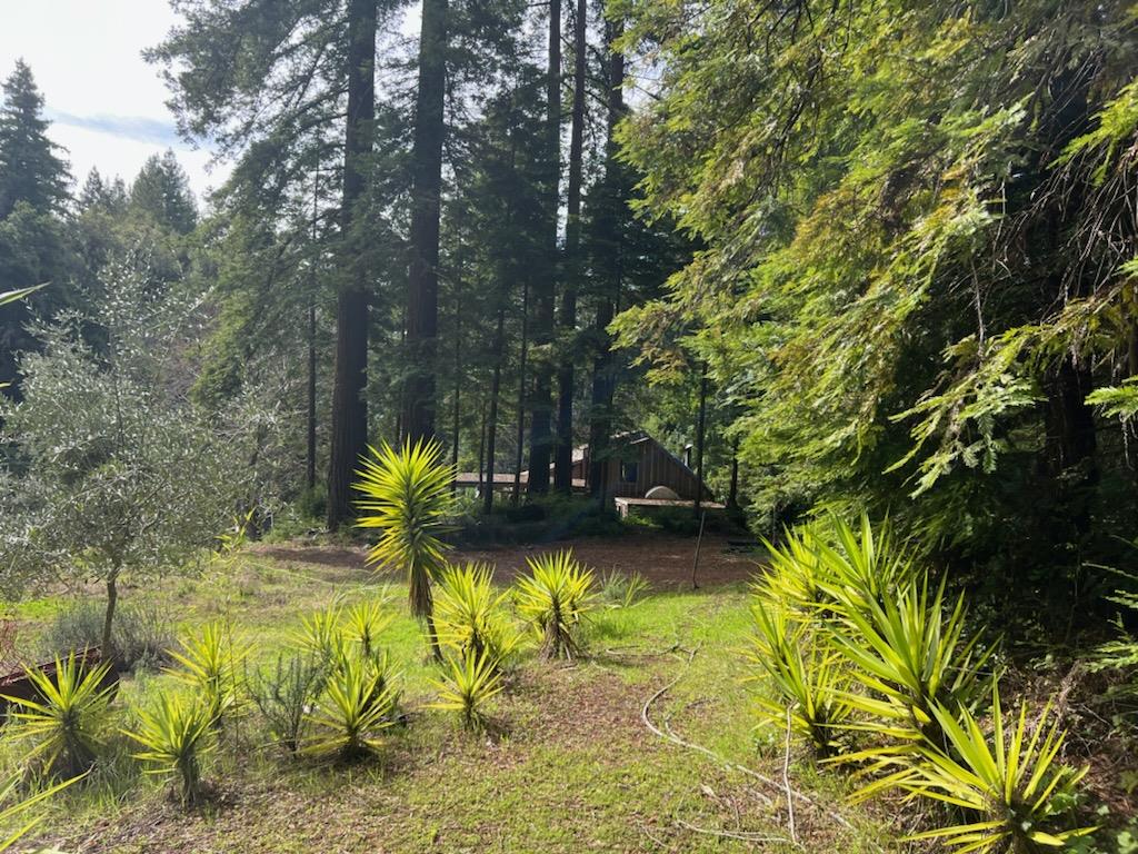 Detail Gallery Image 34 of 34 For 1385 Amaya Ridge Rd, Soquel,  CA 95073 - – Beds | – Baths