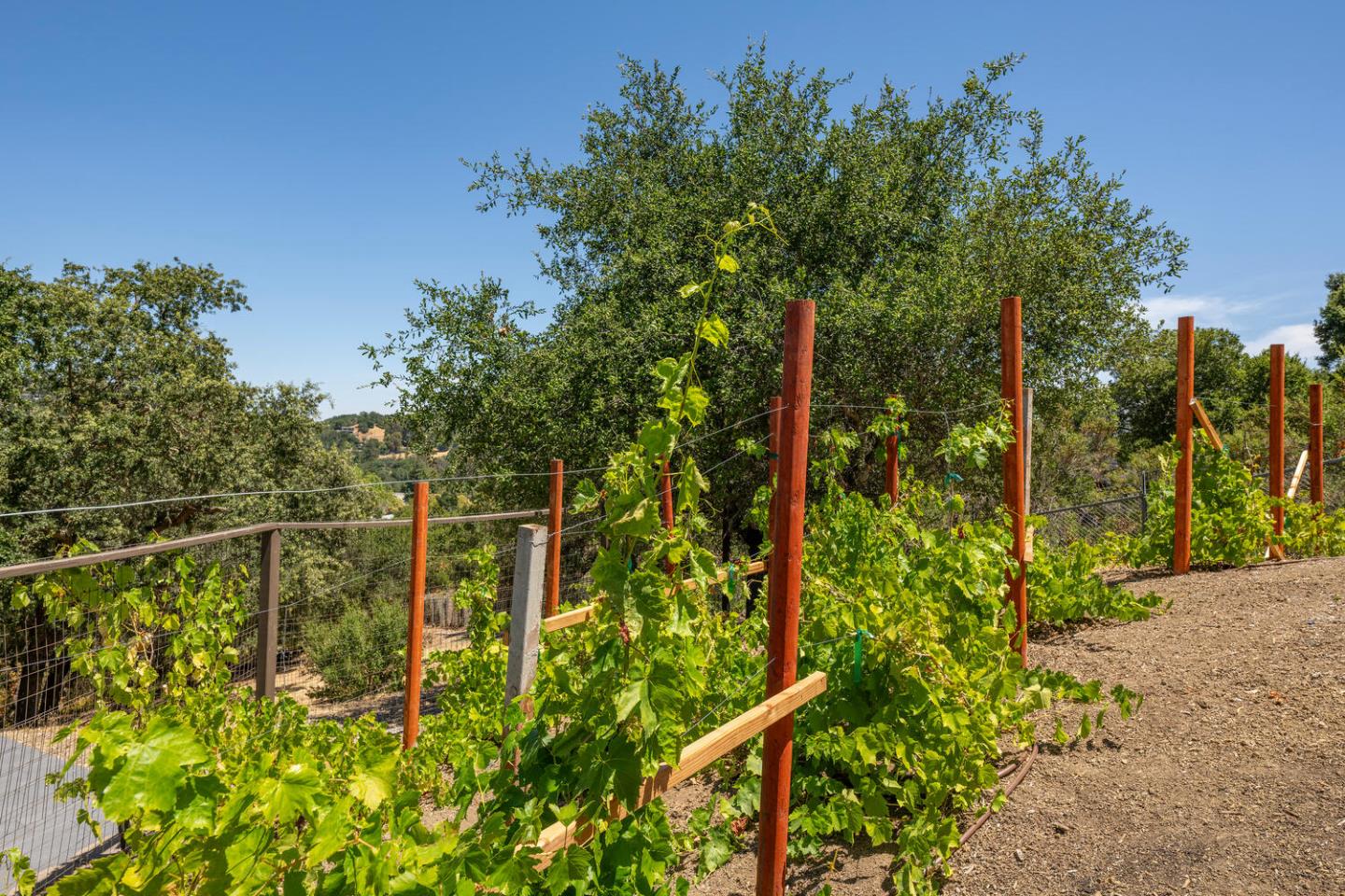 Detail Gallery Image 61 of 91 For 333 Raymundo Dr, Woodside,  CA 94062 - 4 Beds | 4/1 Baths
